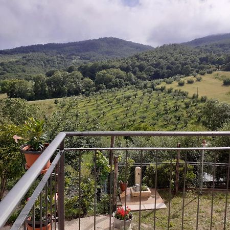 Costa Del Sole 42 Appartement Cetona Buitenkant foto