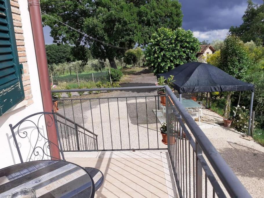 Costa Del Sole 42 Appartement Cetona Buitenkant foto