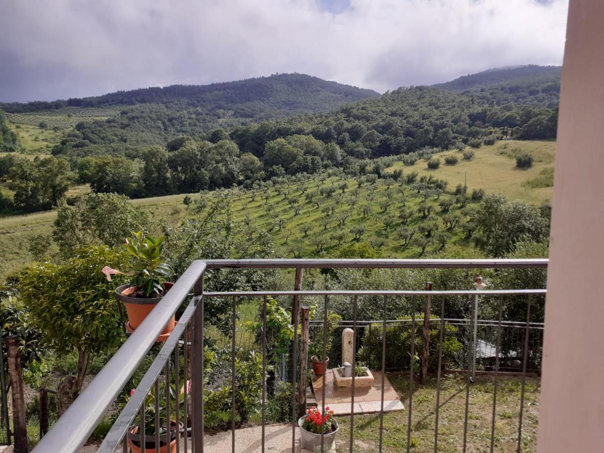 Costa Del Sole 42 Appartement Cetona Buitenkant foto