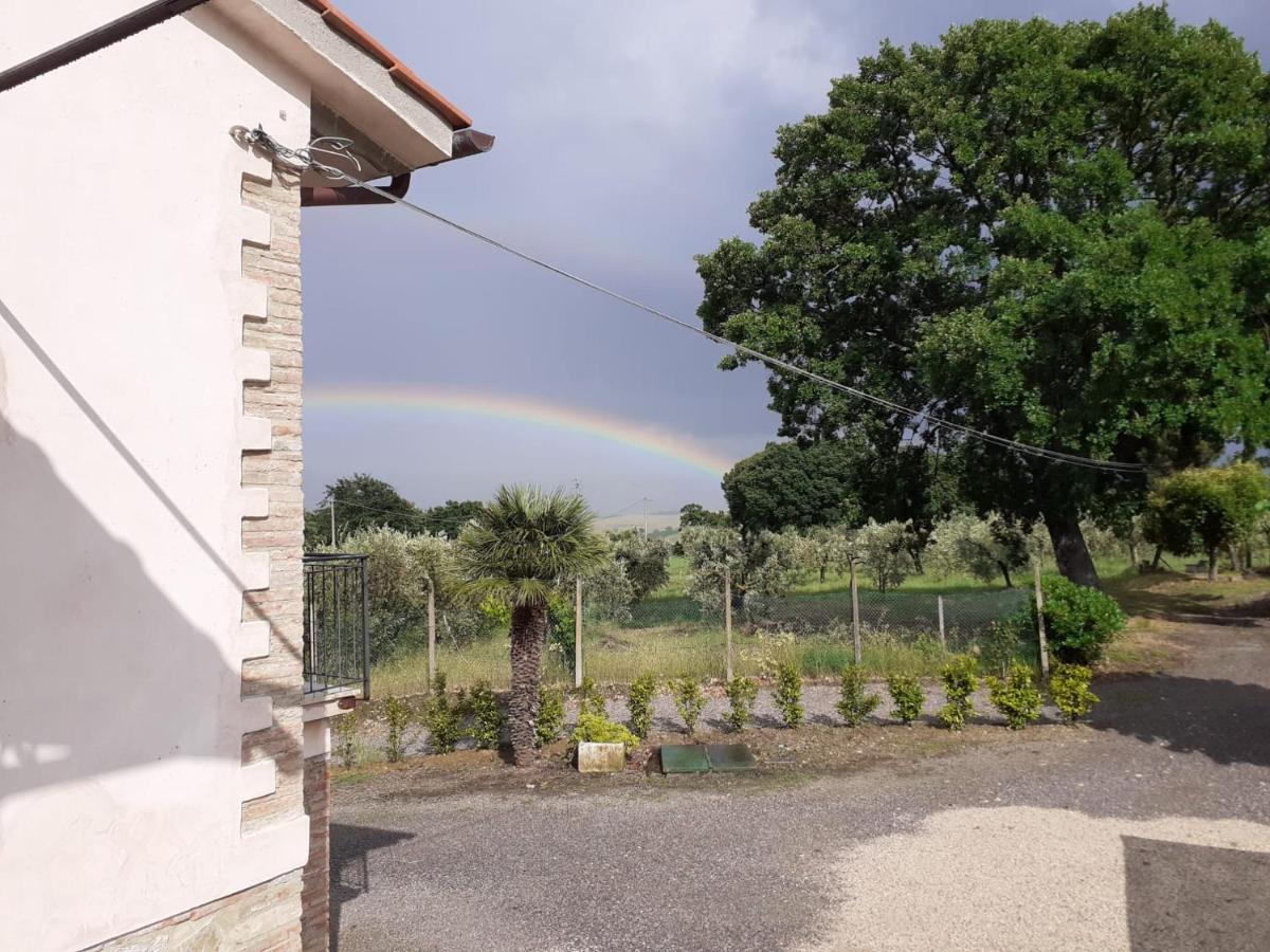 Costa Del Sole 42 Appartement Cetona Buitenkant foto